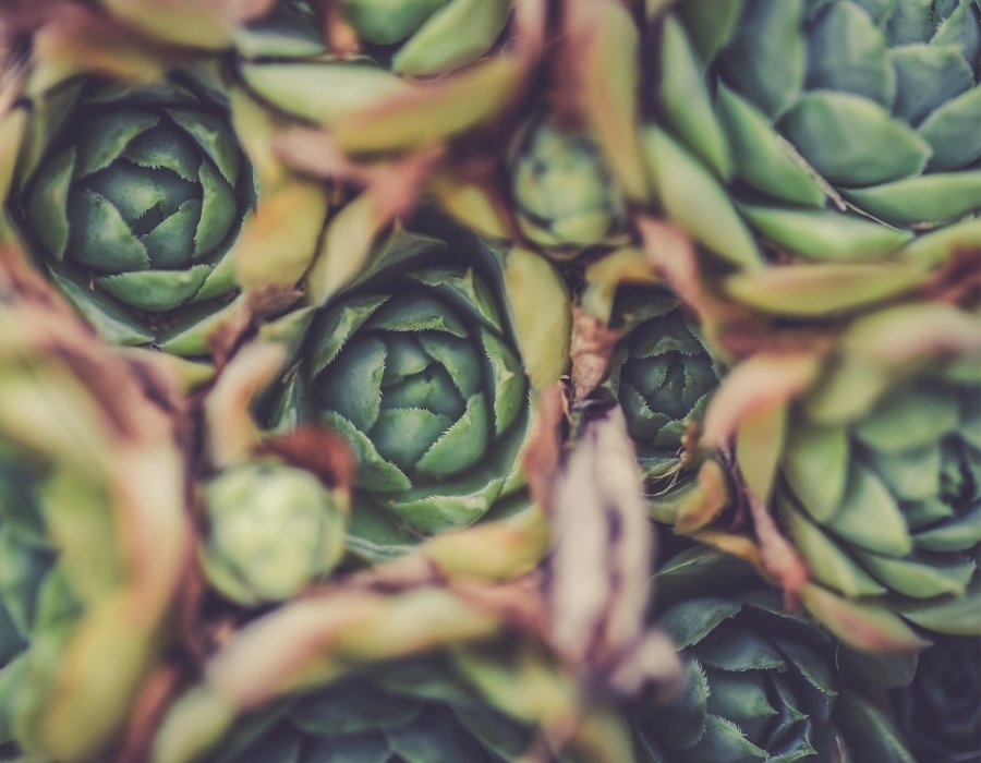 <h1 style=font-size:25px>Seven Game-Changing Eco-Friendly Products That Will Enhance Your Life</font></h1> - VOXAPOD®